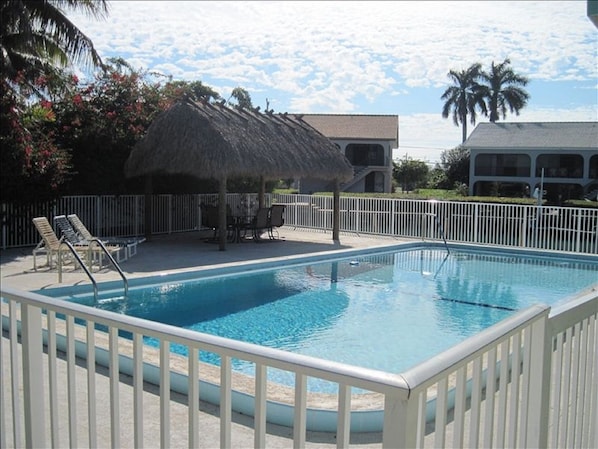 Beautiful pool and tiki hut at Clearwater