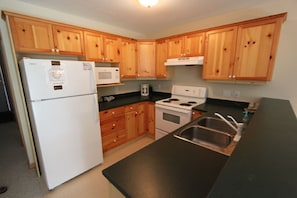 Fully stocked kitchen with oven, dishwasher, fridge and microwave 