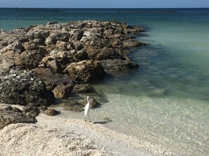 Spiaggia