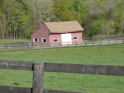 1856 Manor House on 600-Acre Working Horse/Cattle Estate