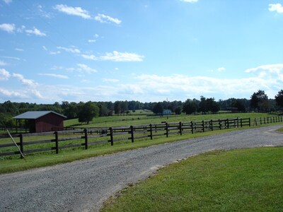 1856 Manor House on 600-Acre Working Horse/Cattle Estate