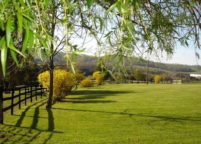 1856 Manor House on 600-Acre Working Horse/Cattle Estate