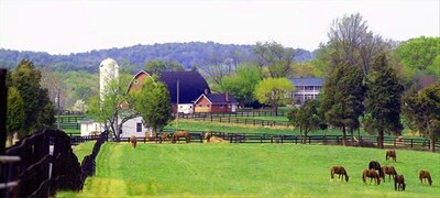 1856 Manor House on 600-Acre Working Horse/Cattle Estate