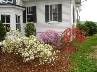 1856 Manor House on 600-Acre Working Horse/Cattle Estate