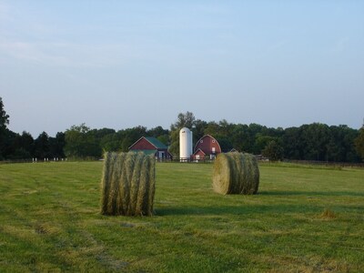 1856 Manor House on 600-Acre Working Horse/Cattle Estate