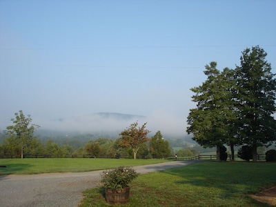 1856 Manor House on 600-Acre Working Horse/Cattle Estate