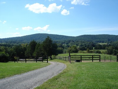 1856 Manor House on 600-Acre Working Horse/Cattle Estate