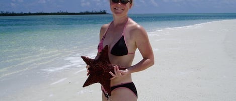 Walking the sand flats. There is abundant sealife to enjoy.