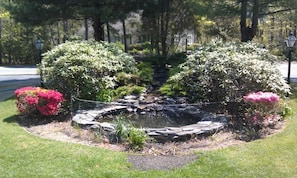 Koi pond in front yard, near horse shoe driveway