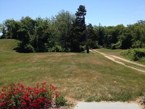 Front yard