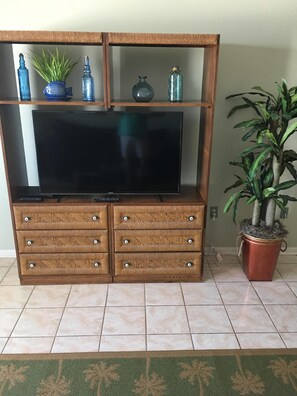 55 inch Flat Screen in living room 