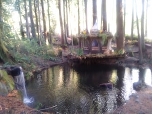Mush Room Over Looks Trout Pond and Waterfall