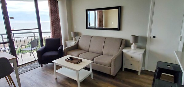 Modern living room with all new furnishings including new queen sleeper sofa