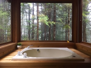 Japanese style, 4 foot-deep jacuzzi tub with jets in your Master Bathroom.