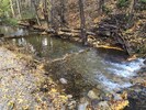 Our Twin Creek Cabin backyard. Cottonwood Creek running through it twice.     