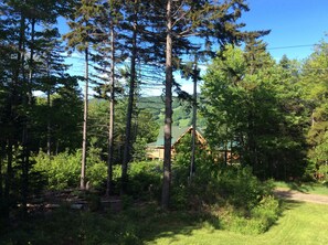 View from Deck taken in June