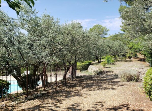 Set amidst 60+ olive trees, landscaped terraces with gorgeous views and pool.