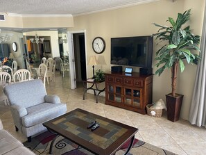 Living Area with 47" HD LED TV, Stereo System and Movie Library