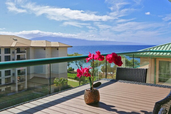 View from Lanai