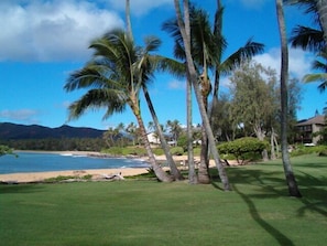 Our oceanfront unit is only 50 steps from the beach.