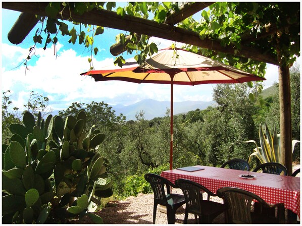 Pergola
