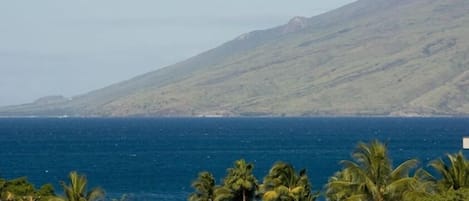 Vista da propriedade