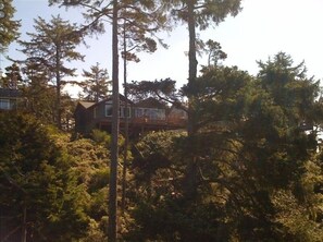 House from dune