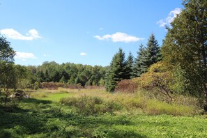 Terrain de l’hébergement 