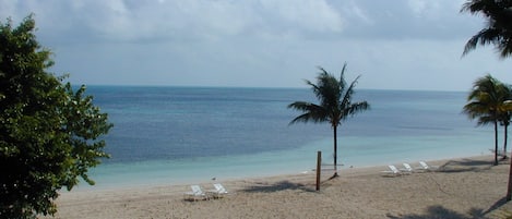 Beach 40 ft. from Suite Viewed from Suite Balcony