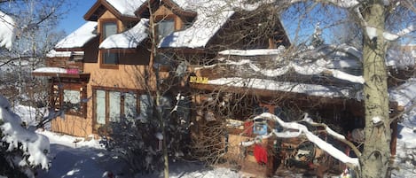 Blue Skies and Fresh Snow are the order of the day in your cozy Chalet !