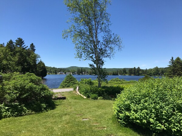 Steps to Lamoille Valley Rail Trail - Walking, biking, snowmobiling, etc.