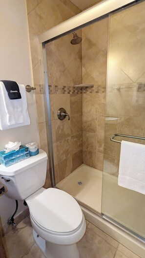 Master bathroom toilet & walk-in shower with seat 