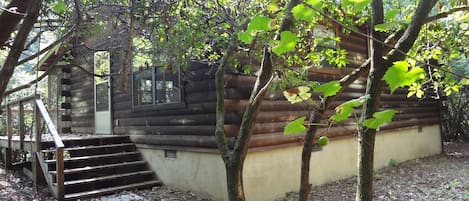 Little Log Cabin in woodsy setting next to the Cartecay River.