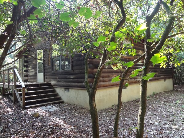 Little Log Cabin in woodsy setting next to the Cartecay River.