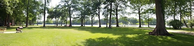 Waterfront Home on lake Dunlap and 2.5 acres of  beautiful 100' Cypress trees 