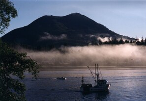 Early morning fog with fish boat heading out of the harbour