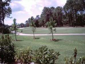 Enjoy the View of the 14th Fairway of the Flamingo Island Golf Course