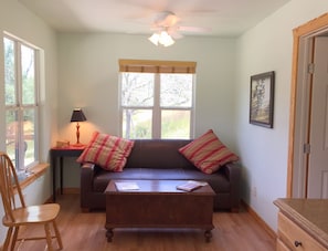 Living area (couch folds out into a twin bed)