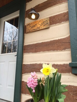 Detalle exterior