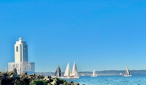 Sailboat Races