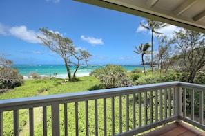 Master Bedroom View from Lanai