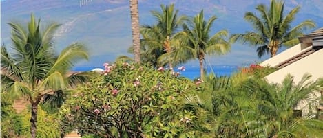 View of West Maui Mtns from Lanai