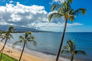 Beach/ocean view