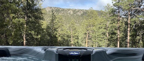 Mtn View from new Calspas Hot Tub 2024
