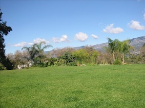 Spacious back yard on one acre property
