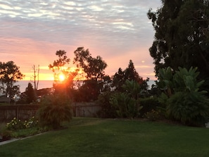 Backyard at sunset