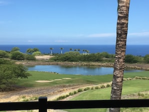 View from Lanai & living room