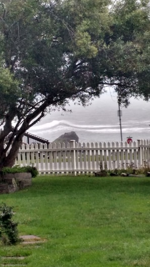 View of a big swell, from the yard