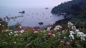 This is the view from the bench at the end of the street