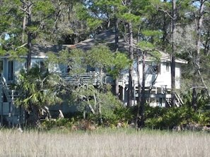 View of the Treehouse from the marsh